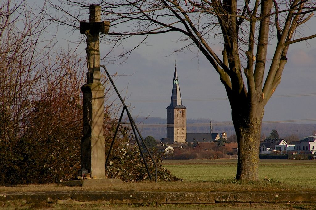 AxerLindenkreuzDSC 7244