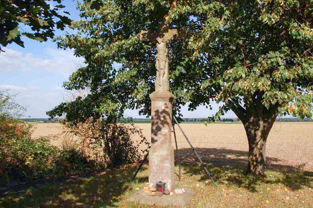 n Kolping AxerDSC 6898